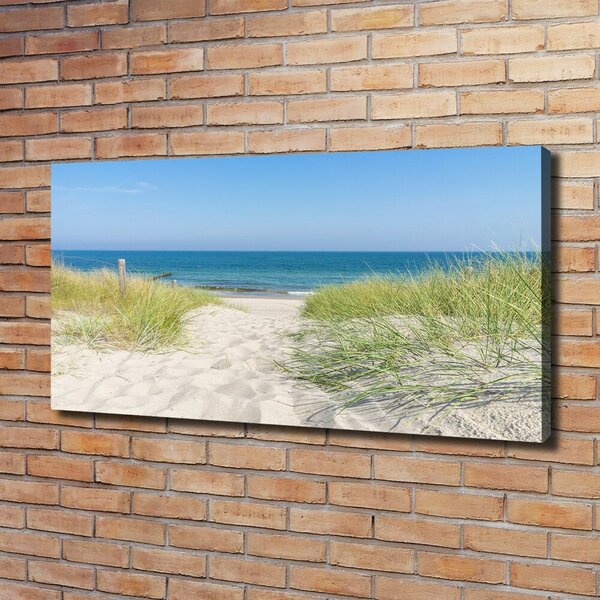 Print pe canvas dune de coastă