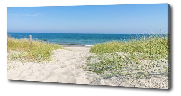 Print pe canvas dune de coastă