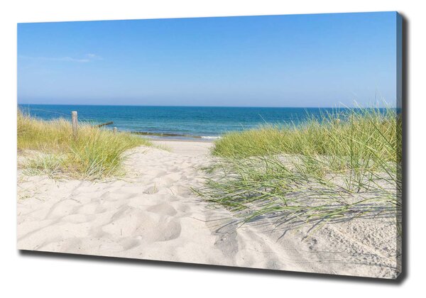 Print pe canvas dune de coastă
