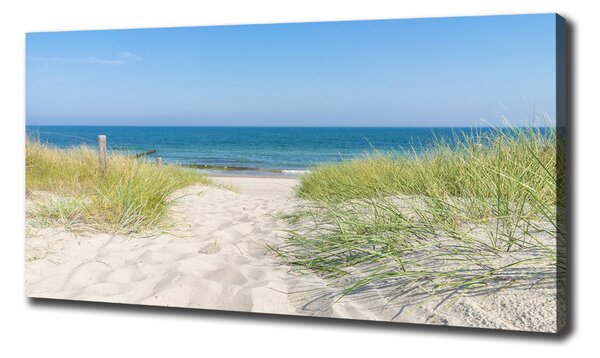 Print pe canvas dune de coastă
