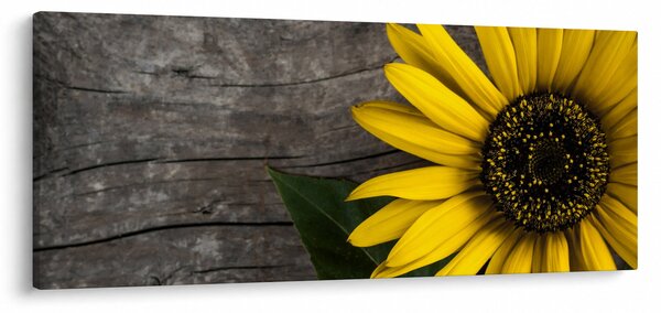 Tablou - Floare de floarea soarelui (120x50 cm)