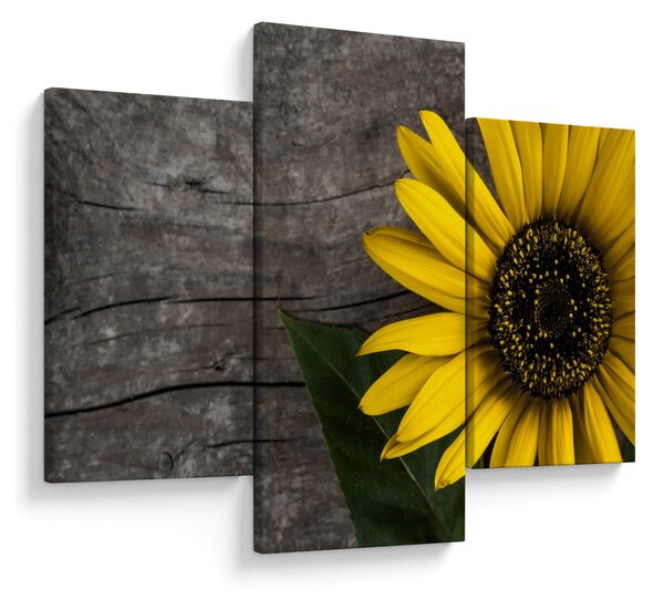 Tablou - Floare de floarea soarelui (90x60 cm)