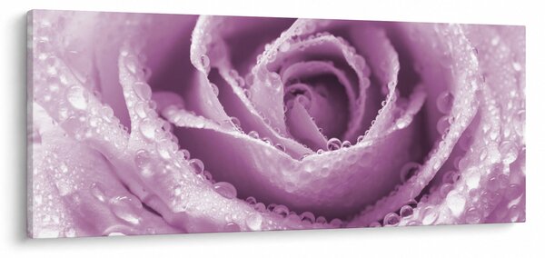 Tablou detaliu de floare de trandafir (120x50 cm)