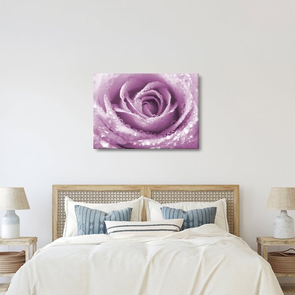 Tablou detaliu de floare de trandafir (70x50 cm)