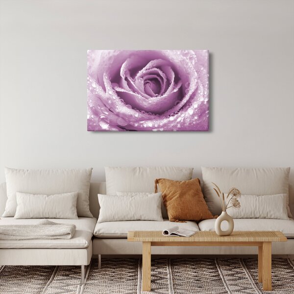 Tablou detaliu de floare de trandafir (90x60 cm)