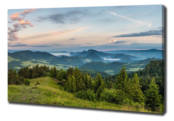 Tablou pe pânză canvas Panorama Pieniny