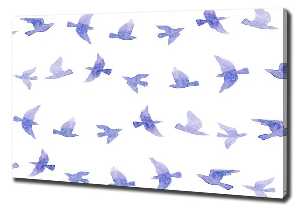 Tablou canvas inghite