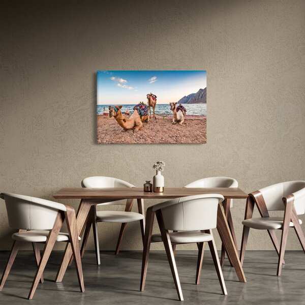 Tablou cu cămile (90x60 cm)
