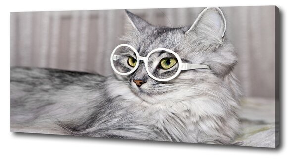 Tablou pe pânză canvas Cat cu ochelari