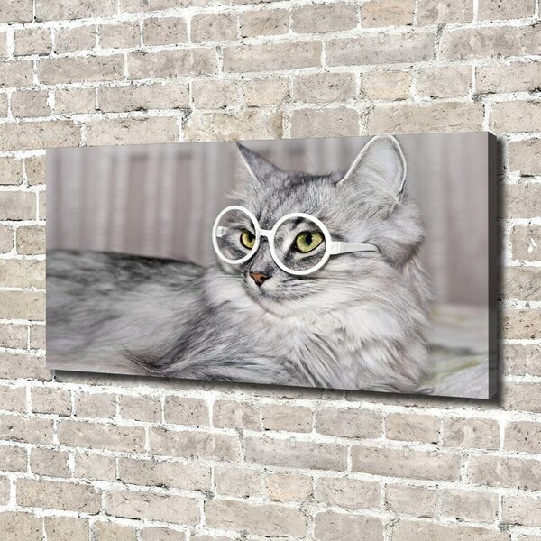 Tablou pe pânză canvas Cat cu ochelari