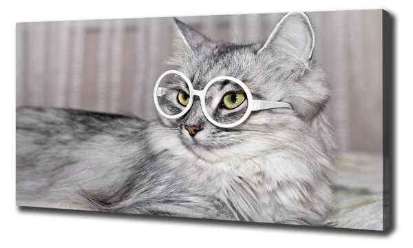 Tablou pe pânză canvas Cat cu ochelari