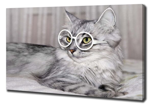 Tablou pe pânză canvas Cat cu ochelari