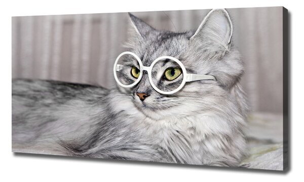 Tablou pe pânză canvas Cat cu ochelari