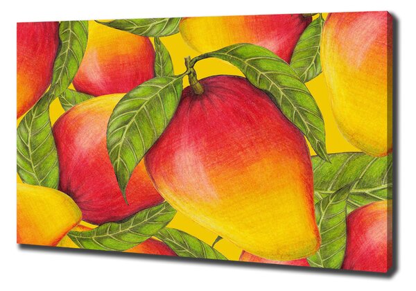 Pictură pe pânză Mango