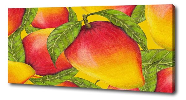 Pictură pe pânză Mango