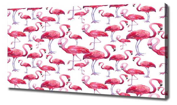 Print pe canvas Flamingos