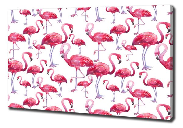 Print pe canvas Flamingos