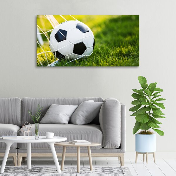 Tablou canvas Mingea în poartă