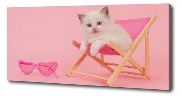 Tablou canvas Cat pe un șezlong