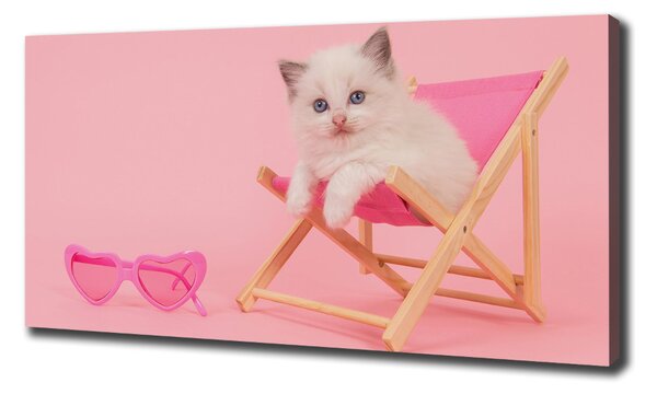 Tablou canvas Cat pe un șezlong
