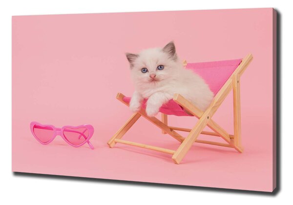 Tablou canvas Cat pe un șezlong