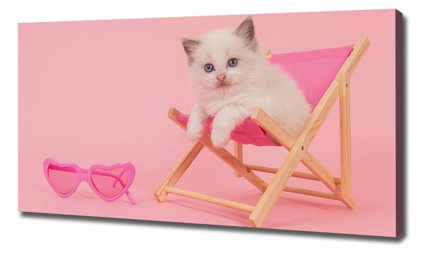Tablou canvas Cat pe un șezlong