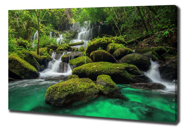 Print pe pânză Cascada din pădure