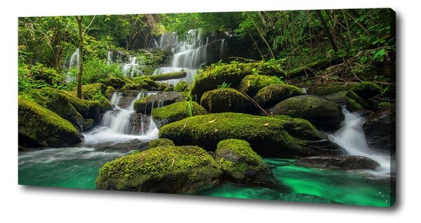 Print pe pânză Cascada din pădure