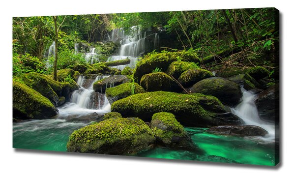 Print pe pânză Cascada din pădure