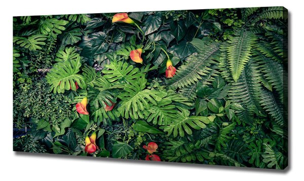 Print pe canvas junglă exotice