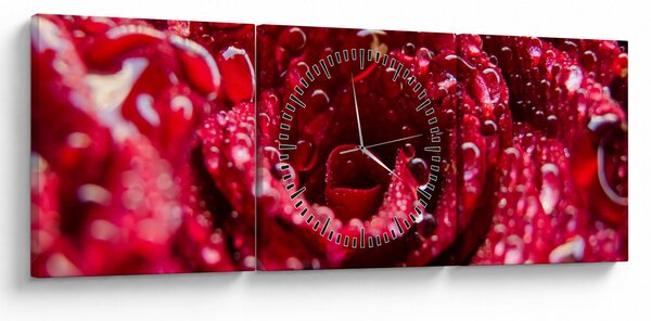Tablou cu floarea trandafirului roșu (cu ceas) (90x30 cm)