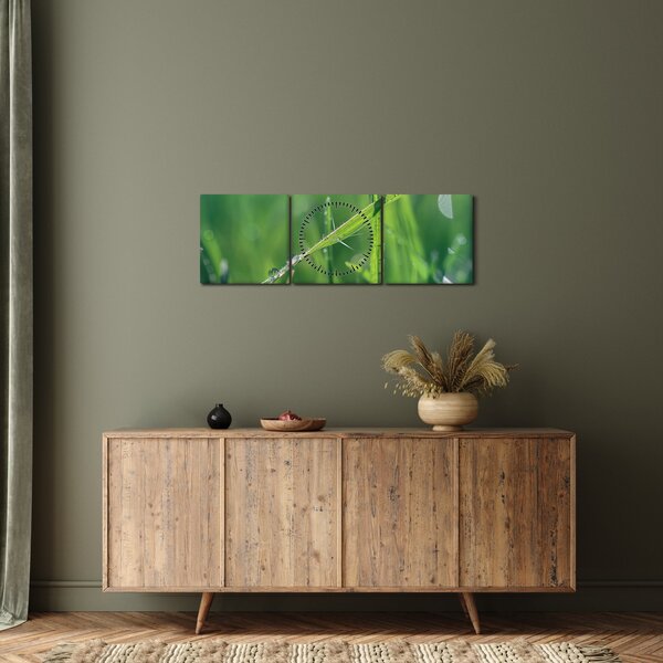 Tablou cu picături de rouă (cu ceas) (90x30 cm)