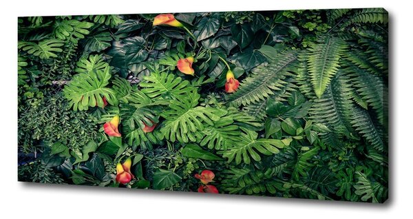 Print pe canvas junglă exotice