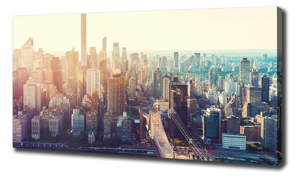Pictură pe pânză New York pasăre de zbor