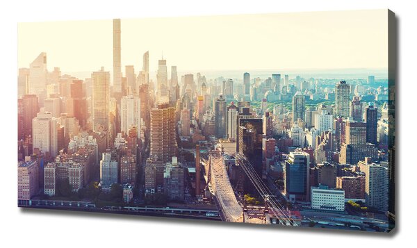 Pictură pe pânză New York pasăre de zbor