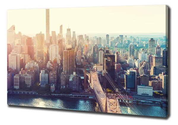 Pictură pe pânză New York pasăre de zbor