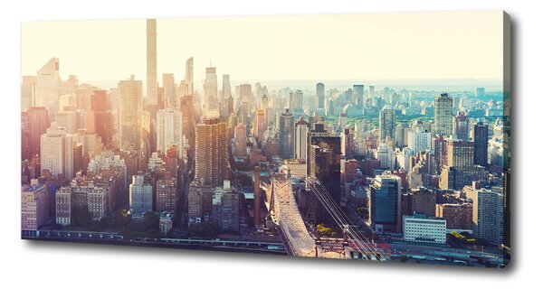 Pictură pe pânză New York pasăre de zbor
