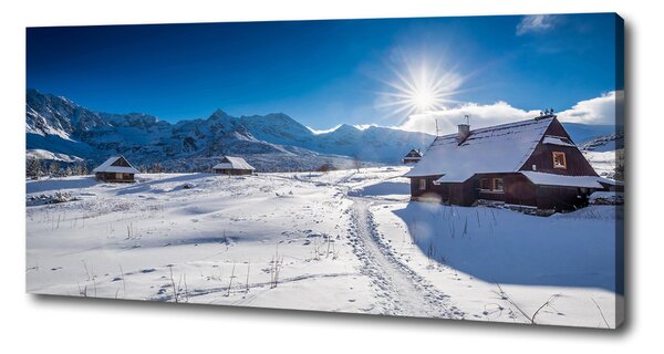 Tablou canvas Hale Tatry