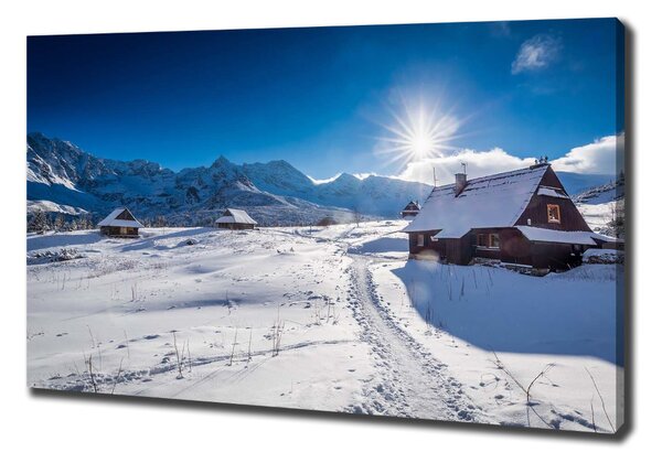 Tablou canvas Hale Tatry
