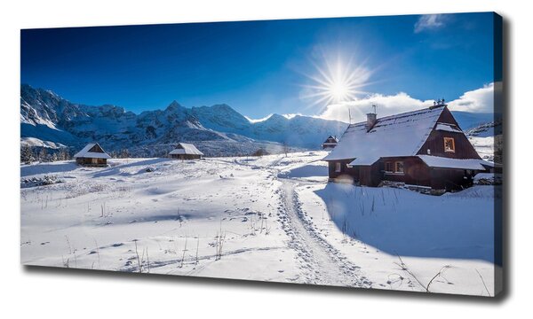 Tablou canvas Hale Tatry