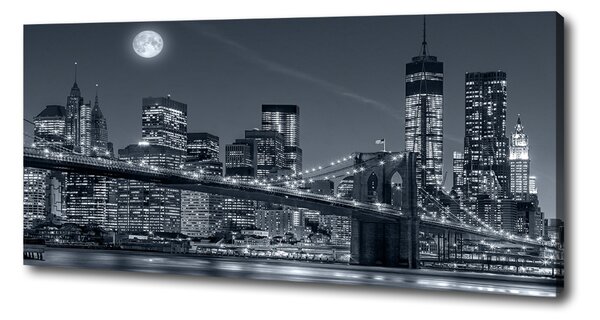 Tablou pe pânză canvas Manhattan New York City