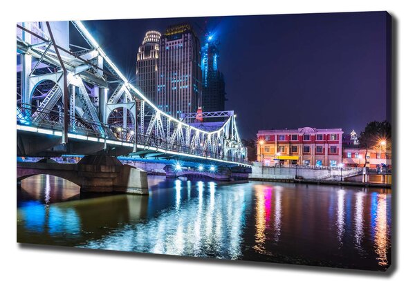 Tablou canvas Shanghai pod