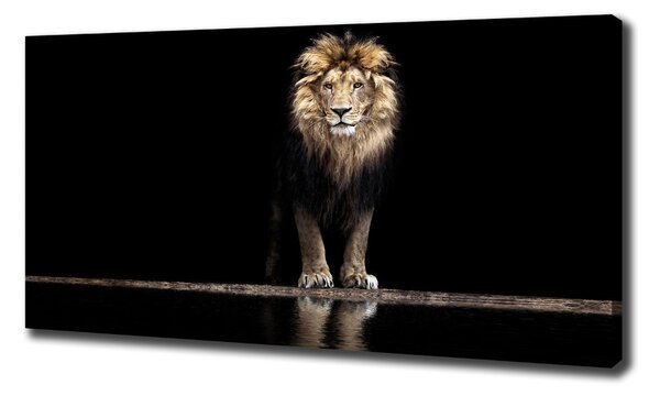 Imprimare tablou canvas Portret de un leu