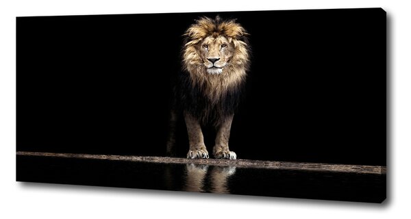 Imprimare tablou canvas Portret de un leu