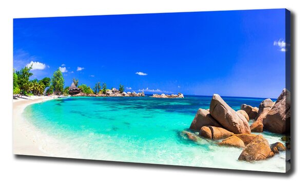 Pictură pe pânză plaja Seychelles
