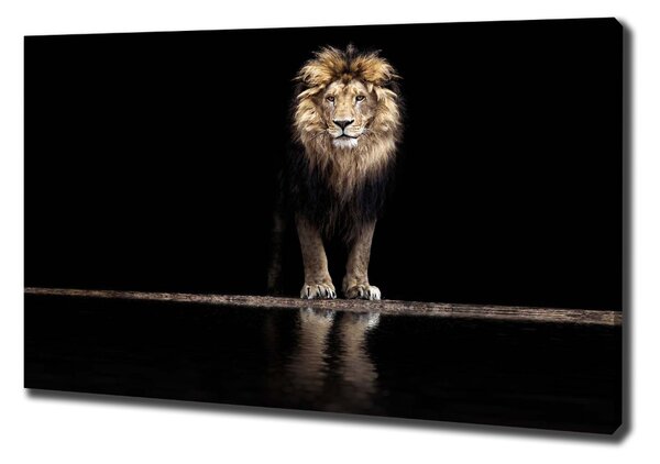 Imprimare tablou canvas Portret de un leu