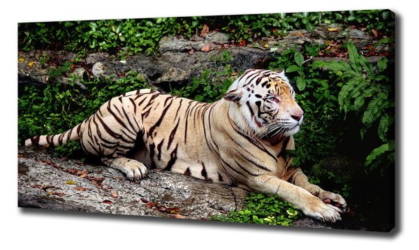 Pictură pe pânză Tiger pe stâncă