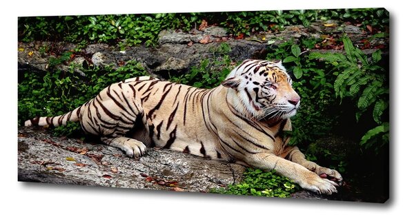 Pictură pe pânză Tiger pe stâncă