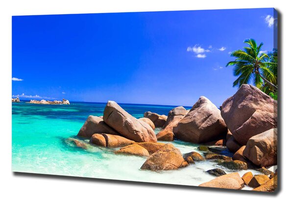 Pictură pe pânză plaja Seychelles