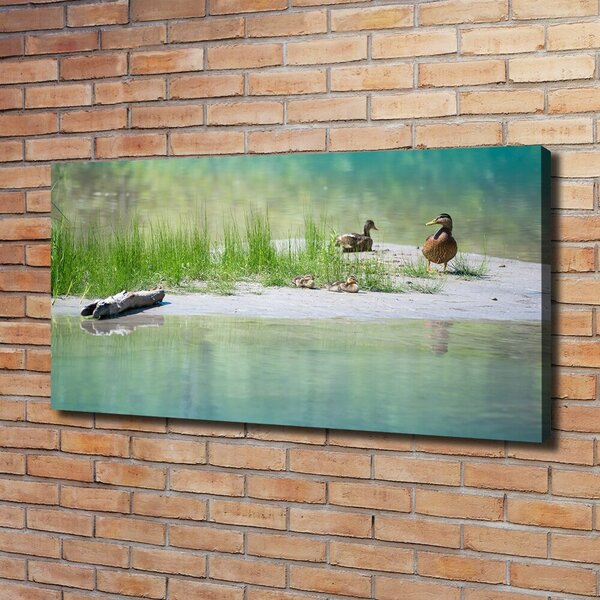 Imprimare tablou canvas Ducks de apă